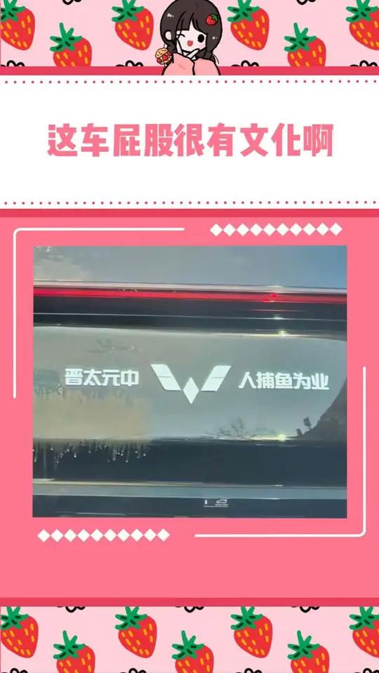 这真是有文化的车屁股啊