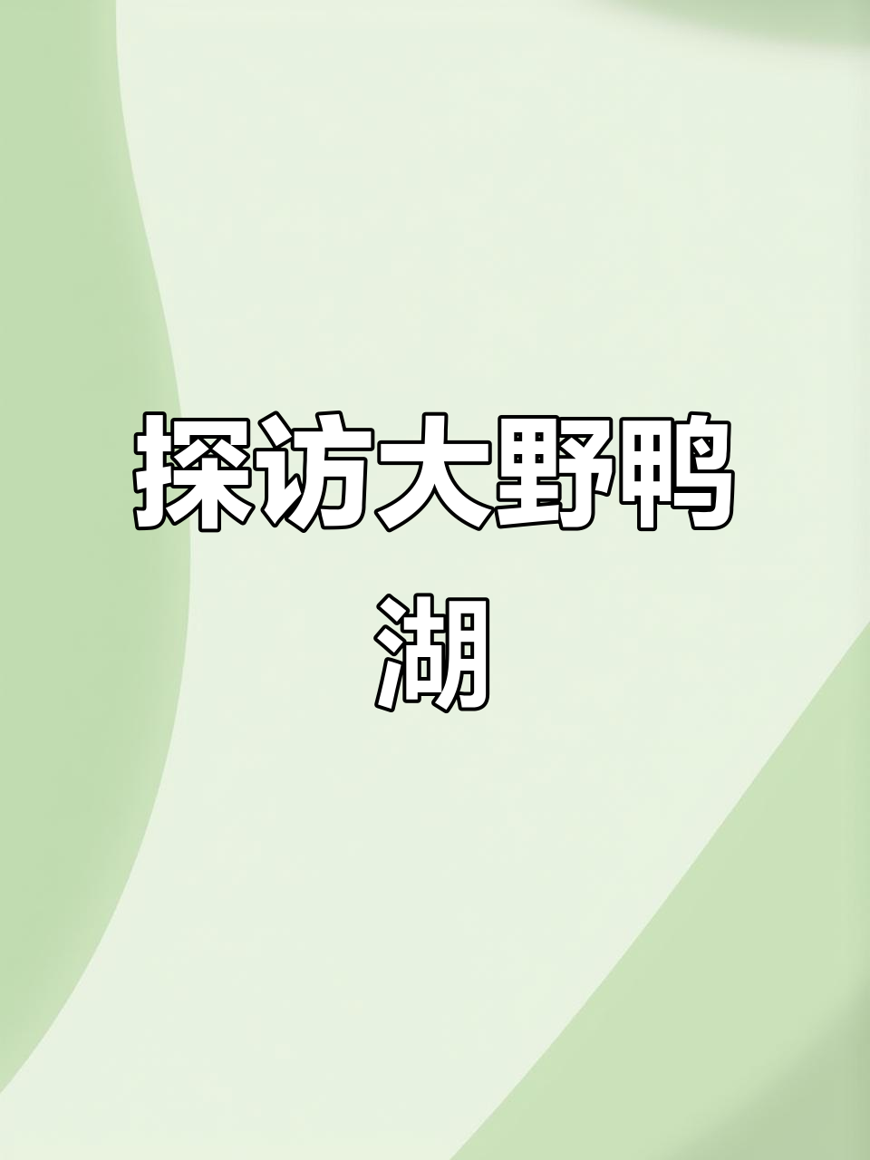大野鸭湖：蓝天下的美丽草原，越野车与乐乐车的两种玩法