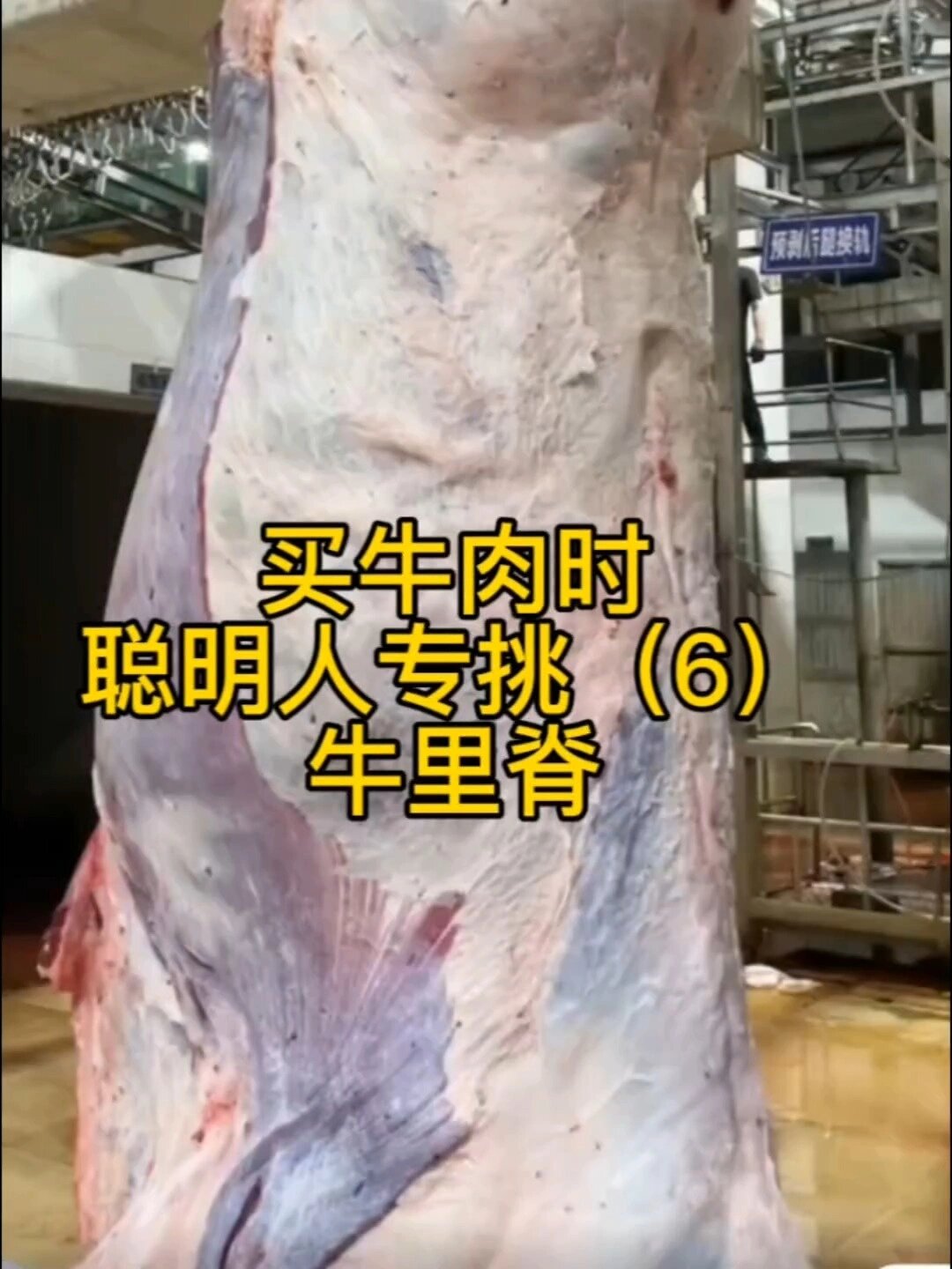 买牛肉时,聪明人专挑这几块(6)牛里脊
