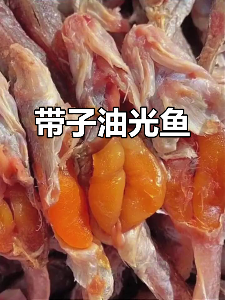 渤海湾油光鱼,带籽咸鲜美味,营养丰富