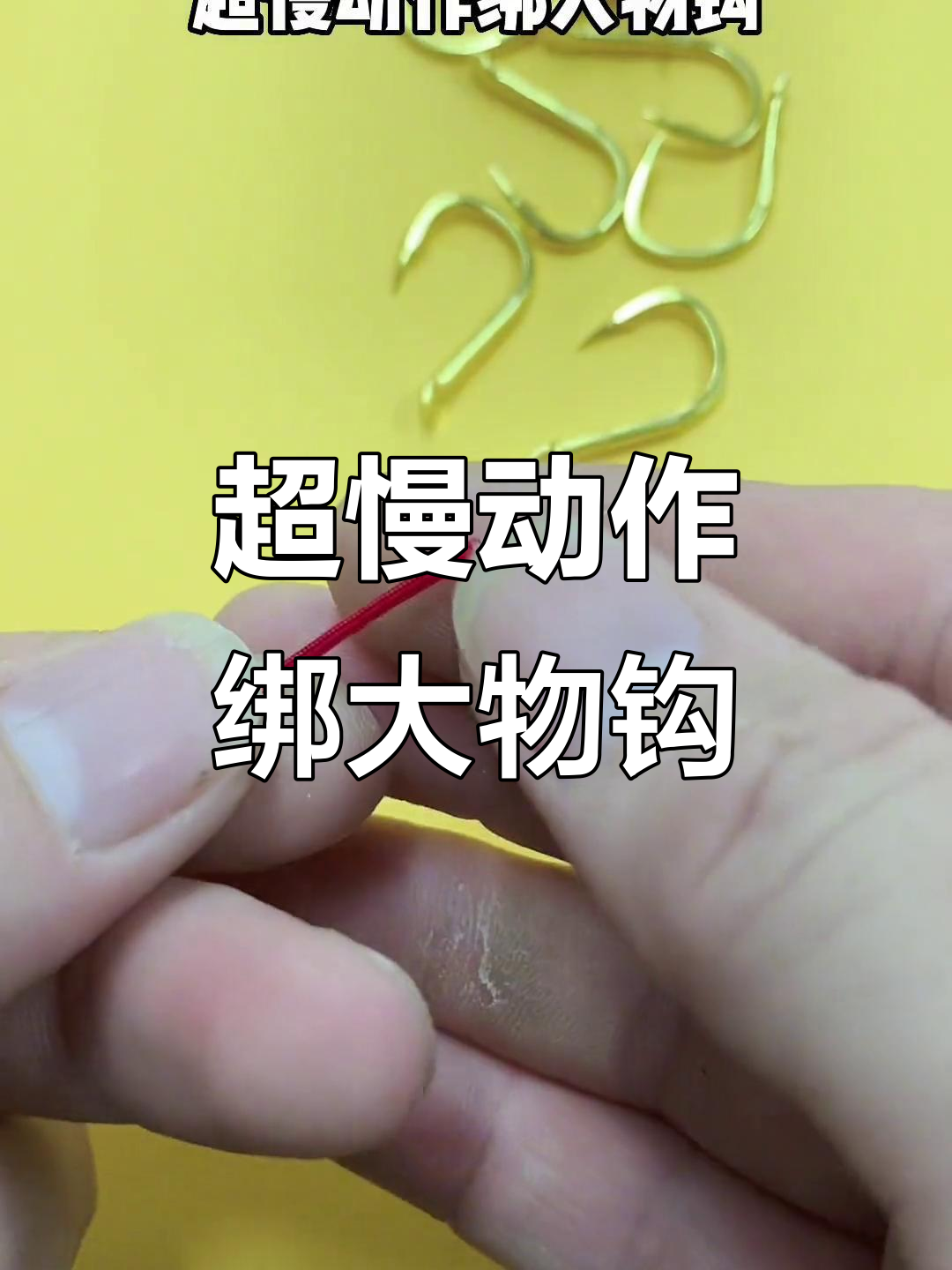 青鱼子线双钩绑法,超慢动作演示大物钓技巧