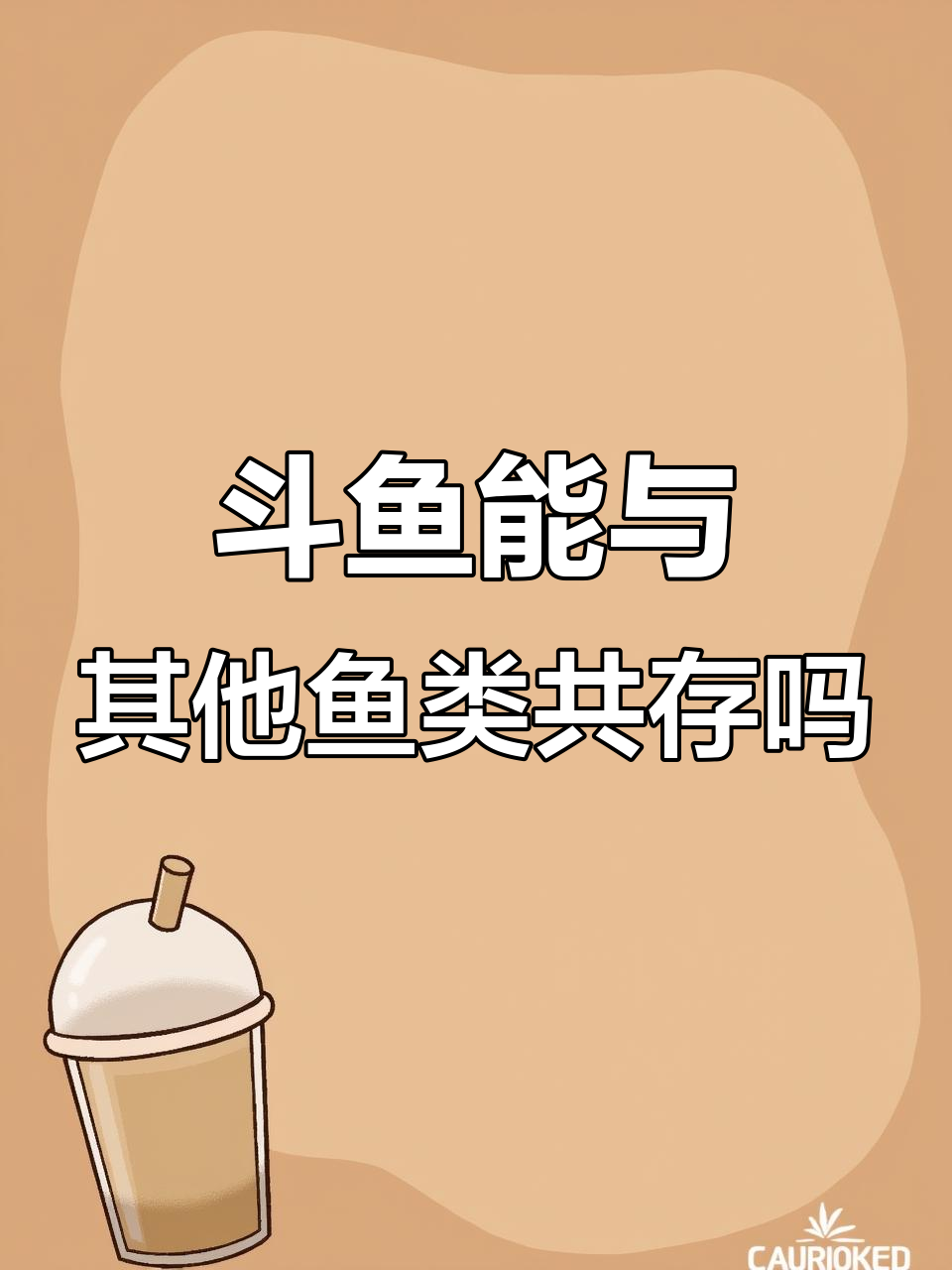 中国斗鱼混养技巧:如何选择兼容性高的伙伴