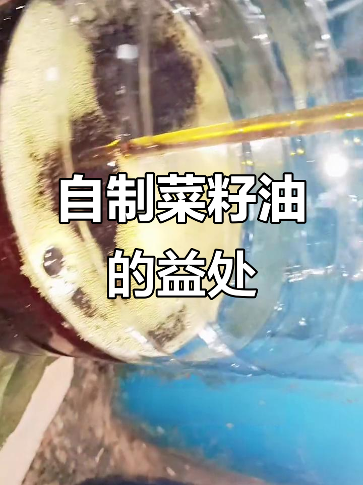 农家自榨菜籽油,健康又美味!