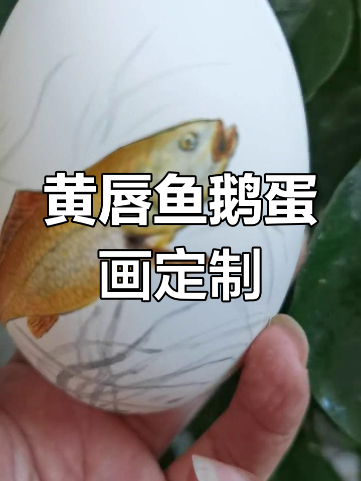 客户定制黄唇鱼鹅蛋画,独特艺术呈现