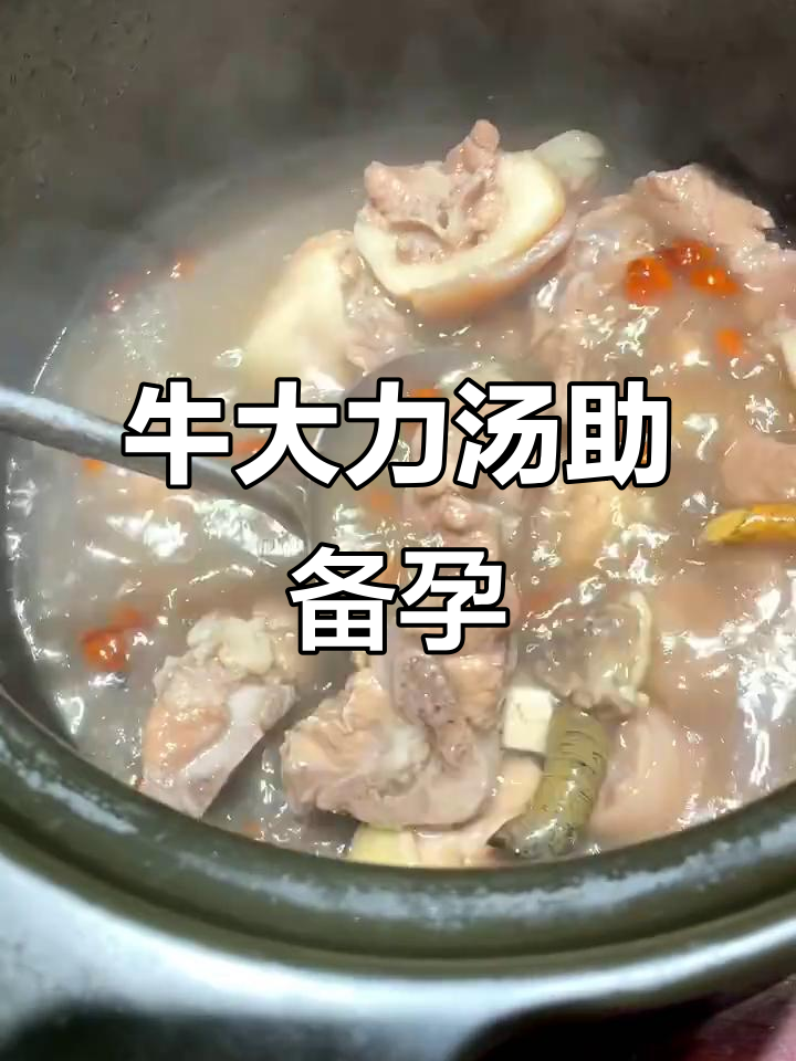 备孕夫妻必喝牛大力汤,滋补养腰效果佳