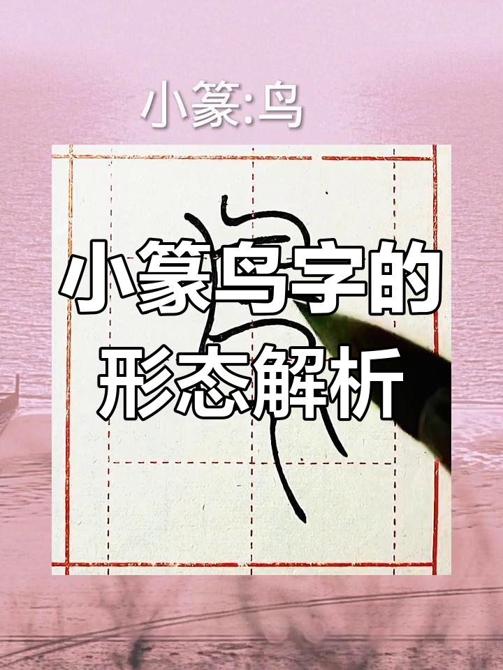 小篆鸟字:栩栩如生的侧面形象,生动展现小鸟姿态