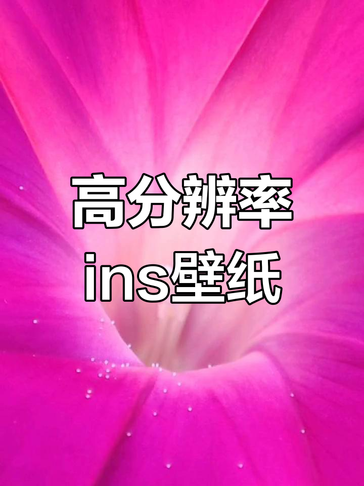 超清全面屏壁纸分享,Ins风设计