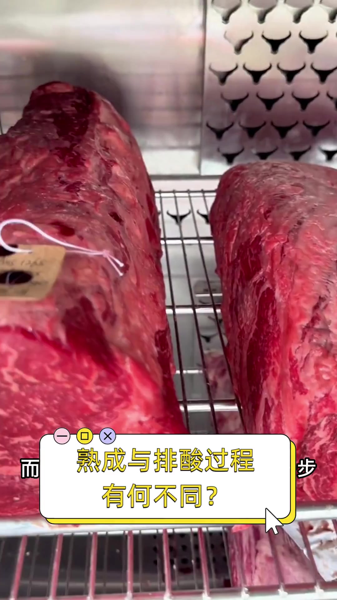 熟成与排酸过程有何不同?