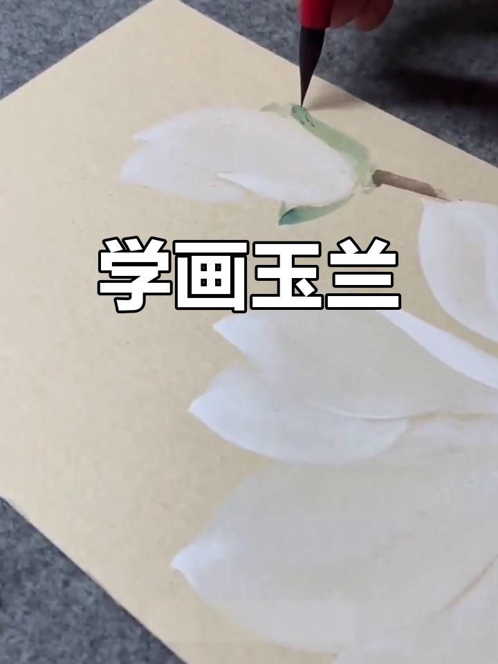 玉兰国画写意教程,轻松学会花枝招展