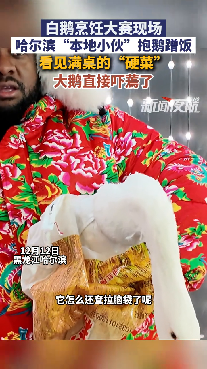 白鹅烹饪大赛现场,哈尔滨“本地小伙”抱鹅蹭饭,大鹅直接吓蔫了