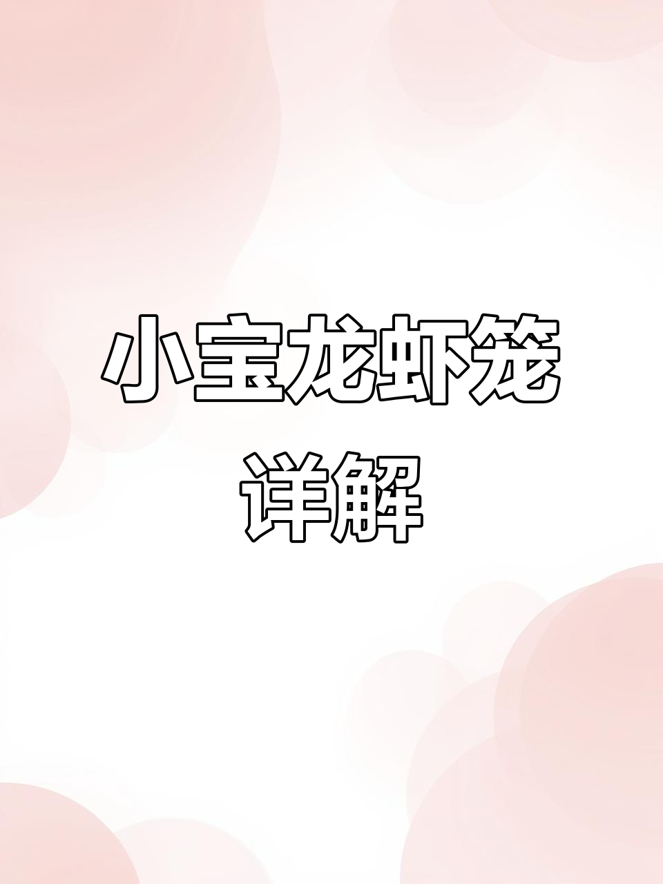 6米小龙虾笼子详细解析:17节设计,储虾窗与网眼一应俱全