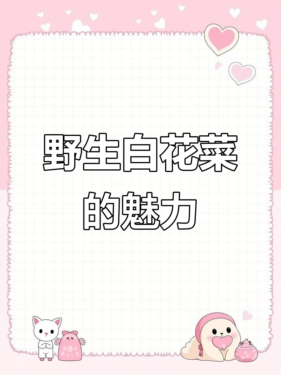 野生白花菜,自然之美与健康之选