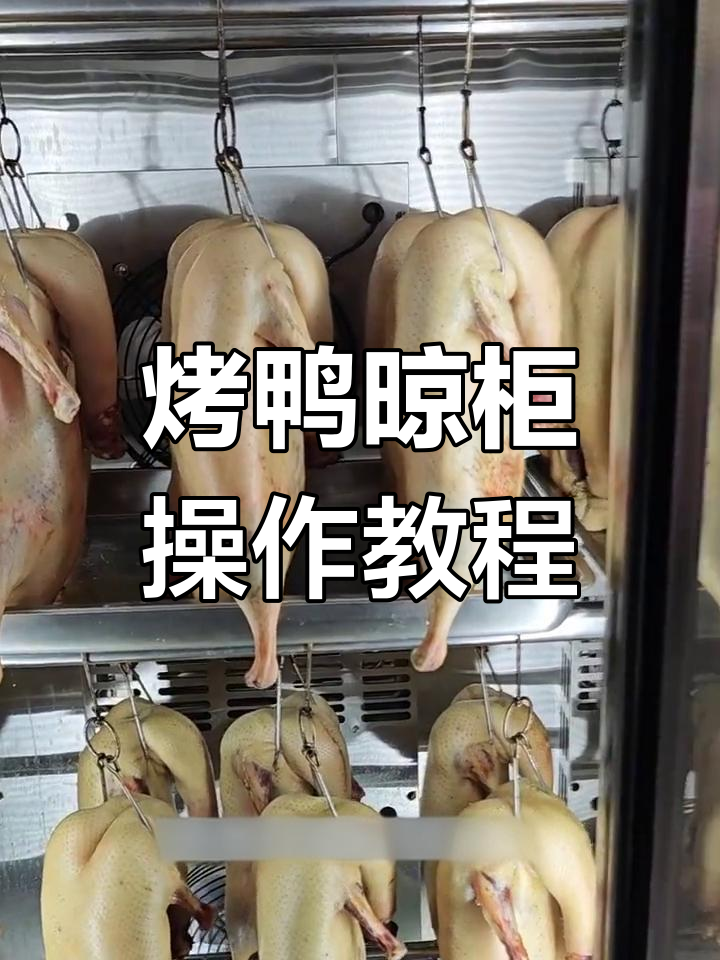 烤鸭晾柜使用指南:如何设置风干与保鲜模式