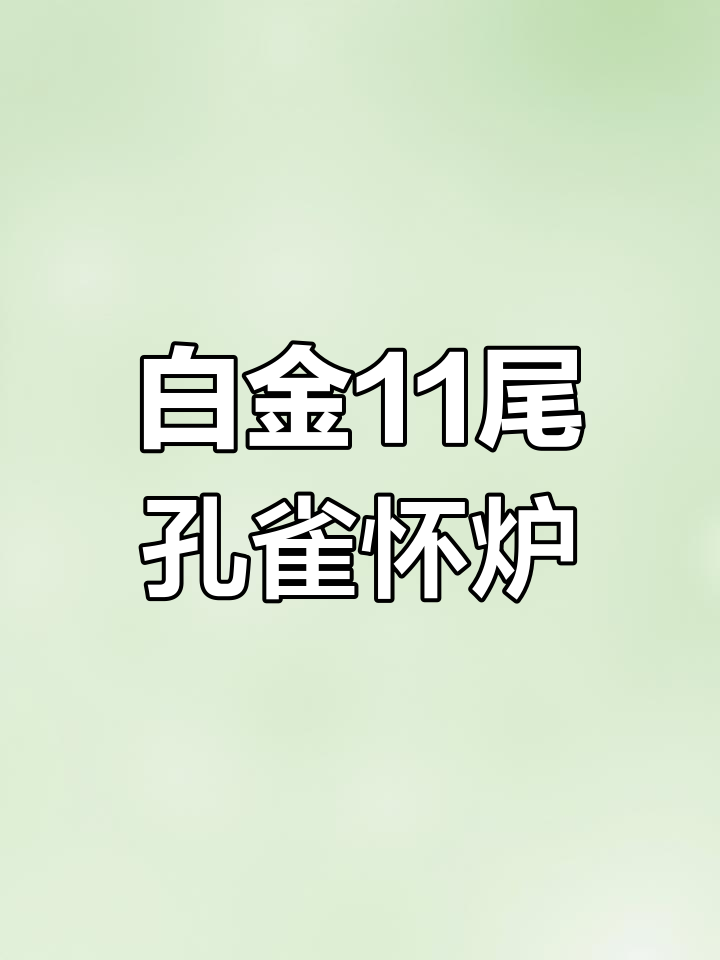 香薰核桃与白金11尾孔雀怀炉的完美结合,春节必备!