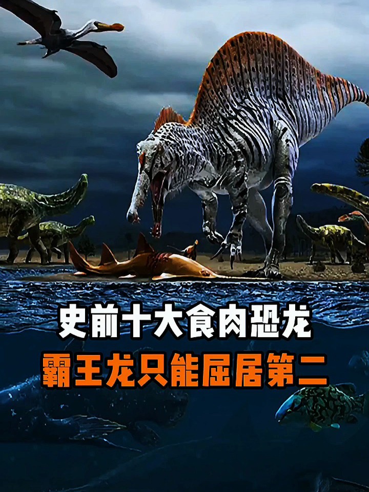史前十大食肉恐龙