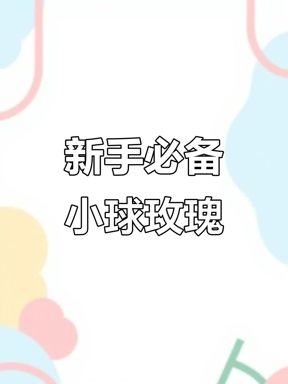 小球玫瑰:新手必养的多肉植物,轻松掌握养护技巧