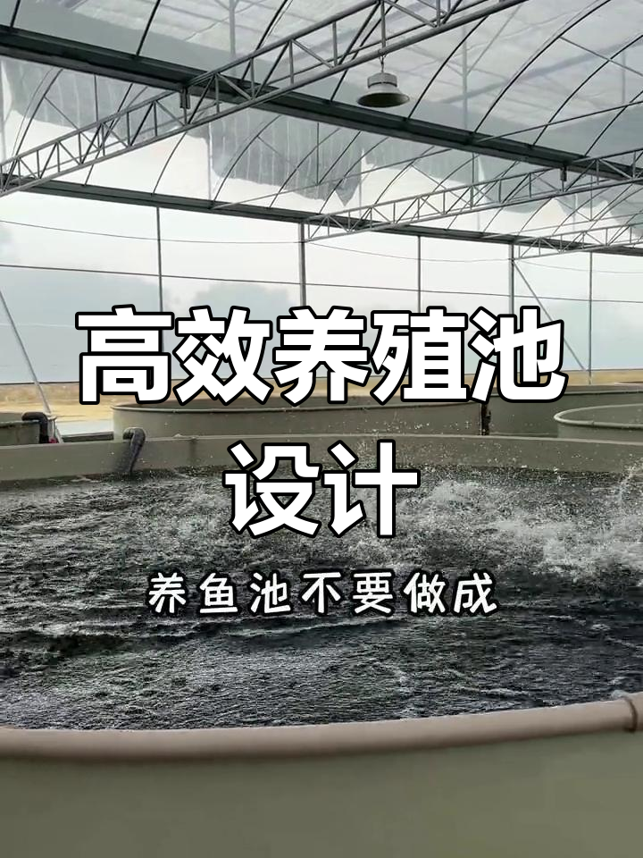 高密度养鱼池设计解析