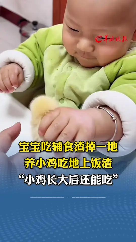 宝宝吃辅食渣掉一地,养小鸡吃地上饭渣,“小鸡长大后还能吃”(编辑:罗钧栋 紫薇 实习生:姚