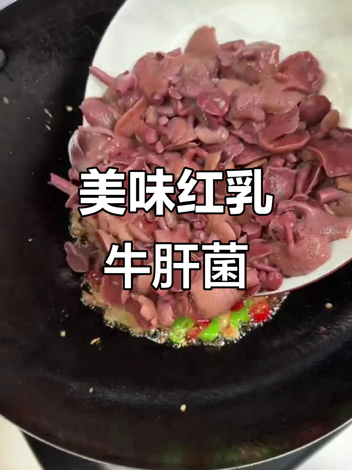 红乳牛肝菌,口感绝佳,炖汤鲜美,一试成主!