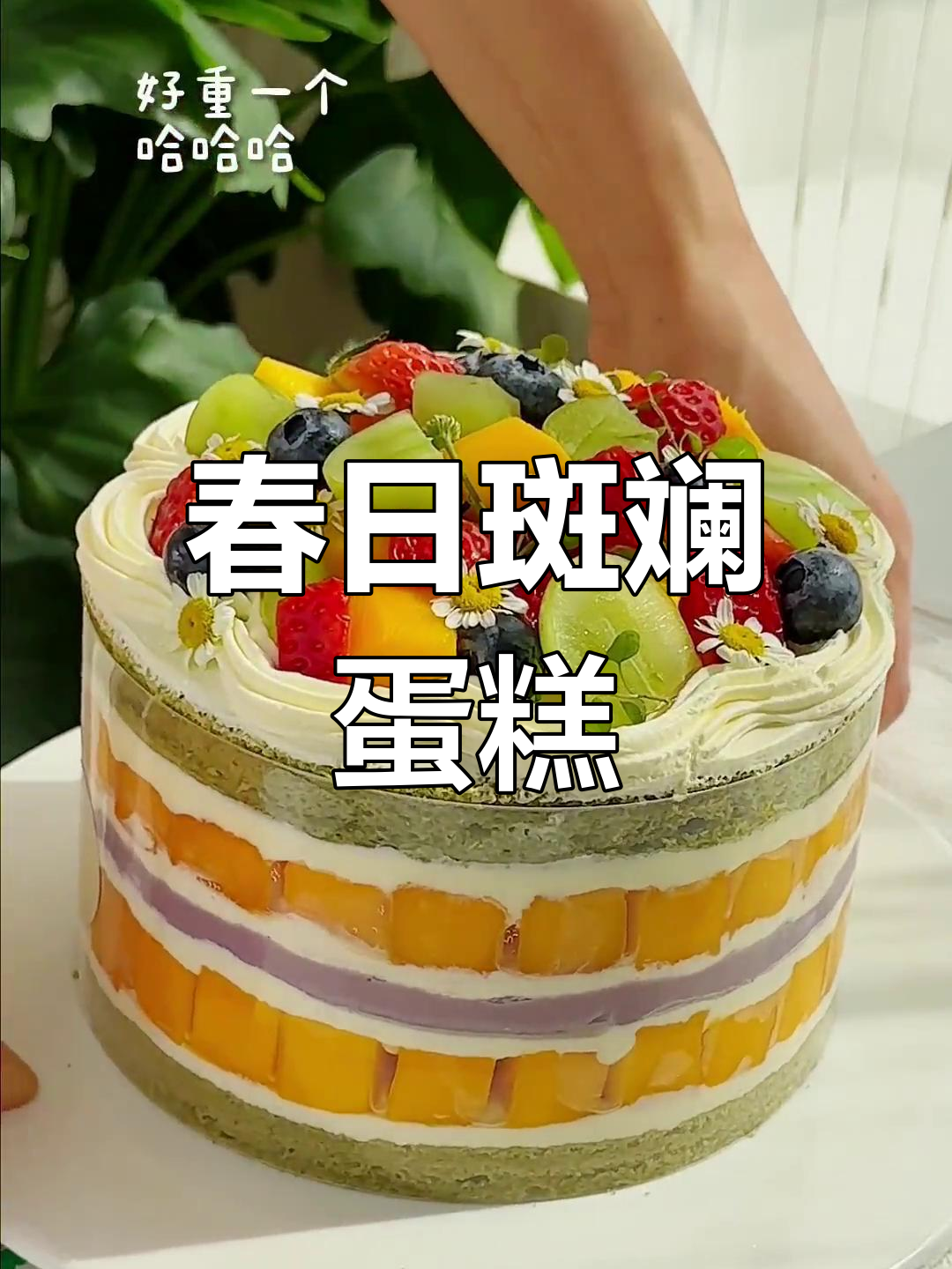 春天的味道,斑斓芒果芋泥蛋糕