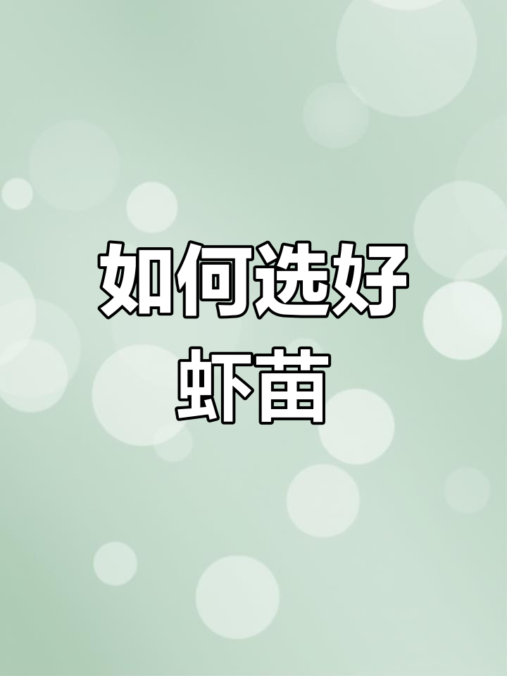 选择虾苗的技巧:快大、高抗还是土苗?