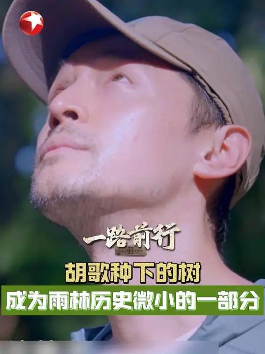 胡歌种下的树 成为雨林历史微小的一部分 过去的荒地变成了森林,离不开代代人的播种和保护!胡