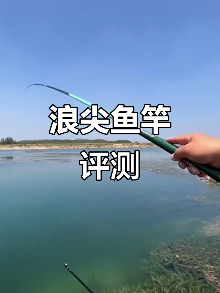 邓老师推荐浪尖鱼竿,六米三配五米四,轻硬挺拔钓大物