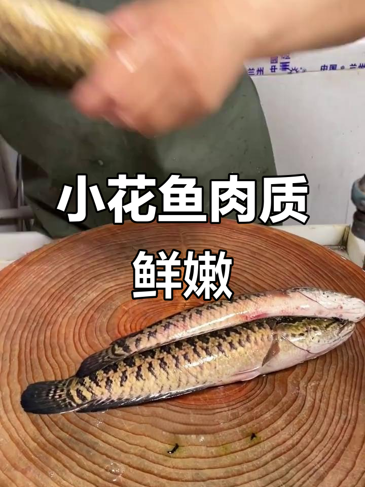 野生小花鱼:肉质甜美,刀工精湛的横县特色美食