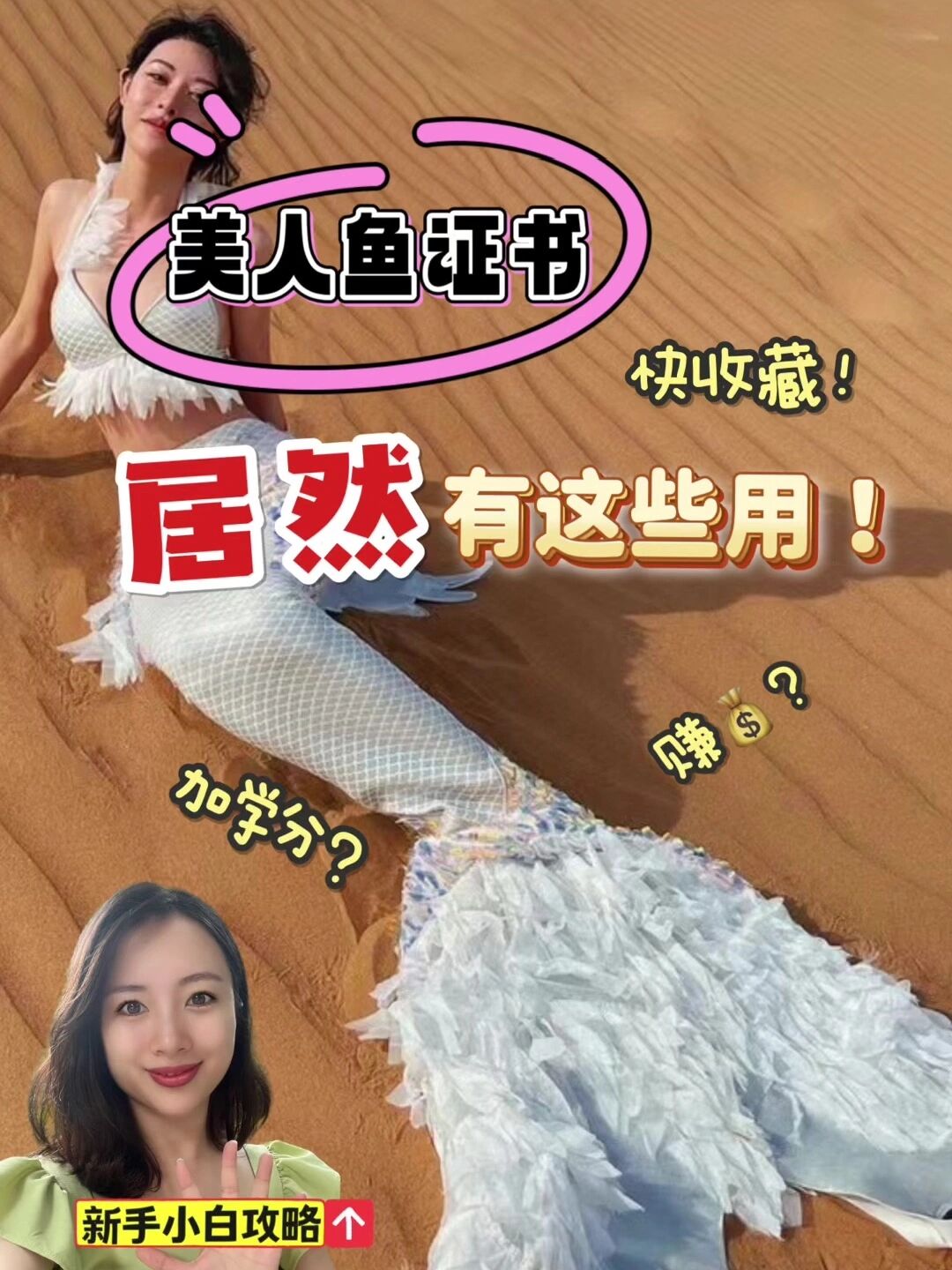 美人鱼潜水证书,居然有这些用!快收藏!