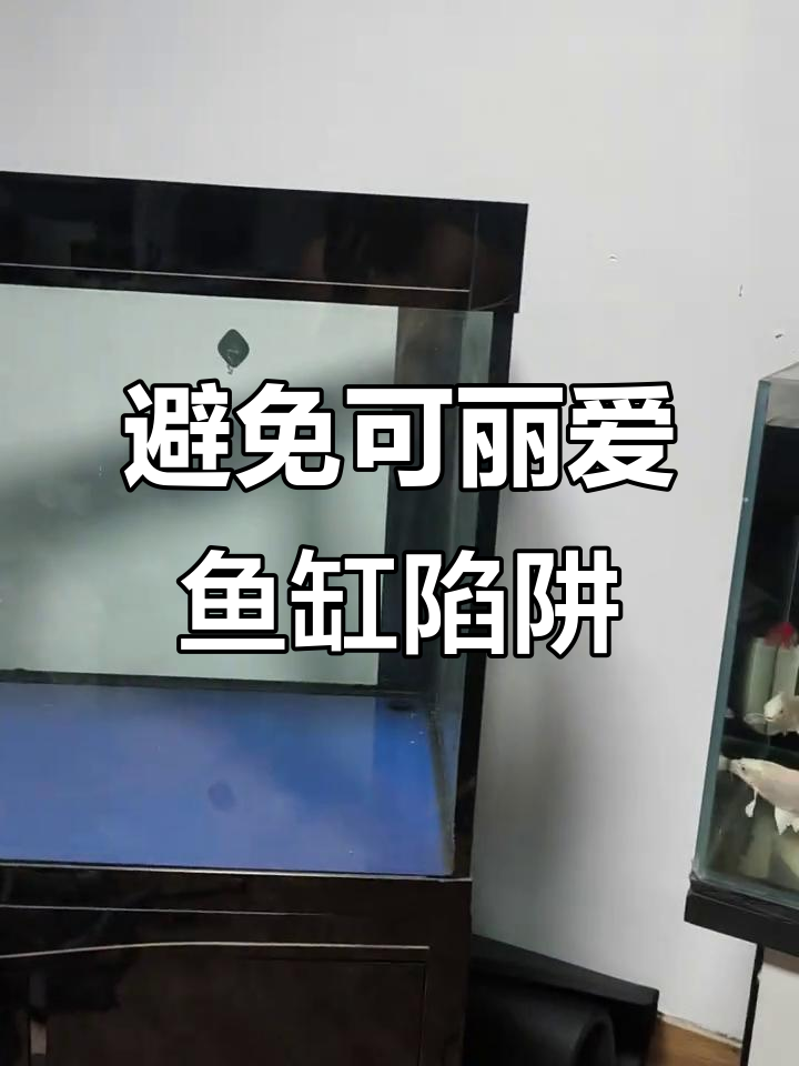 可丽爱鱼缸的避坑指南,边框问题大揭秘