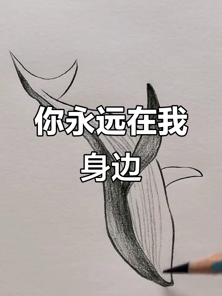 蝴蝶与鲸鱼的陪伴,永恒的守护