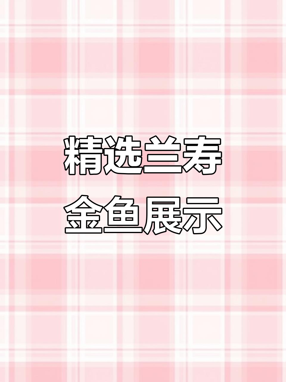 兰寿金鱼大赏！这些品种你最喜欢哪一款？