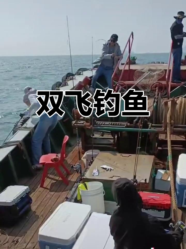 双飞上鱼,章跳与鳓鱼同时捕获