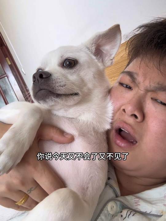 真实还原，装傻充愣的一天泡菜