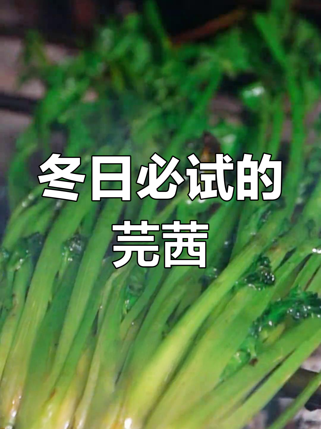 冬季吃芫茜,健康又美味