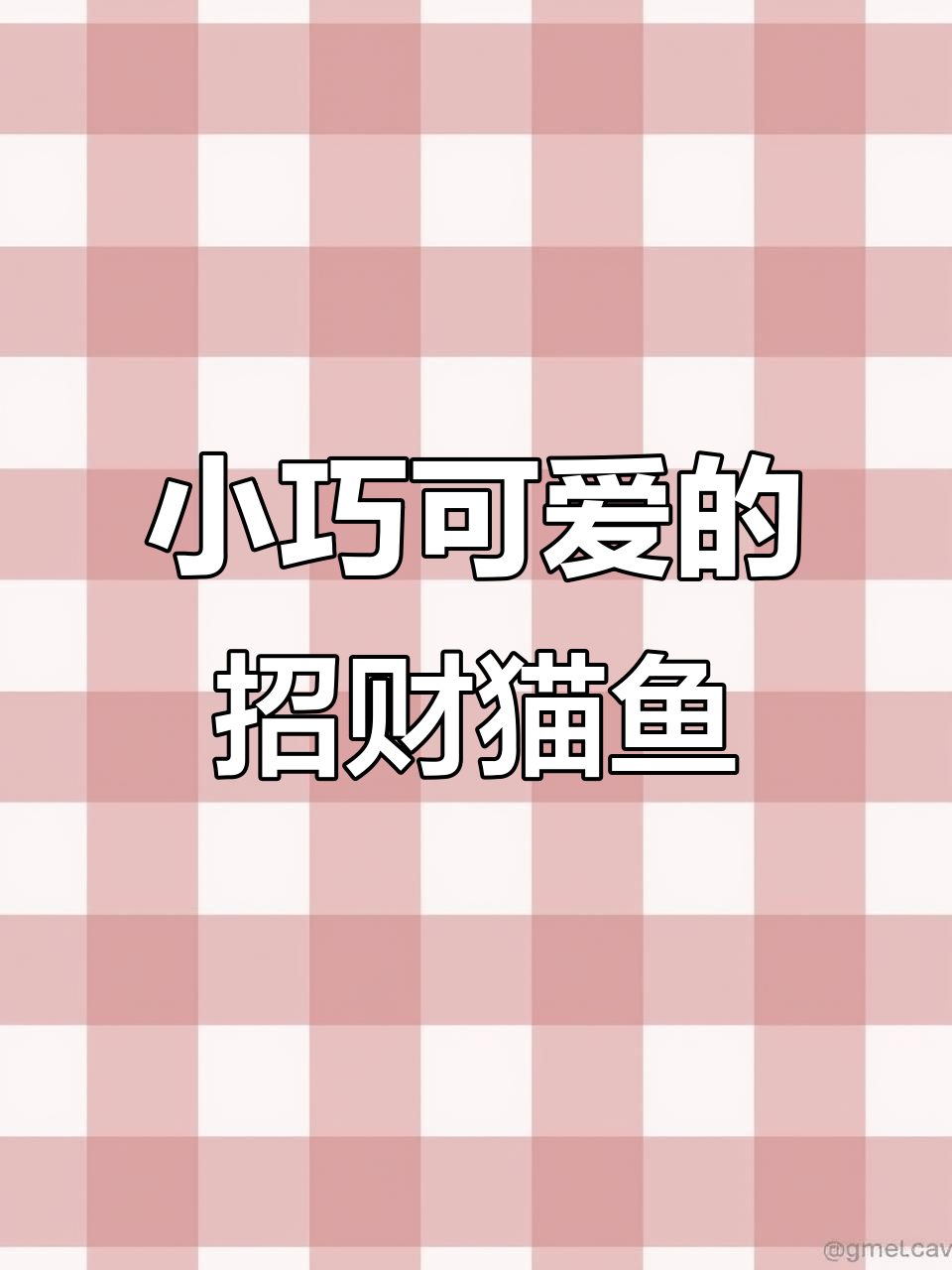 可爱招财猫鱼,八到十公分超萌小福猫