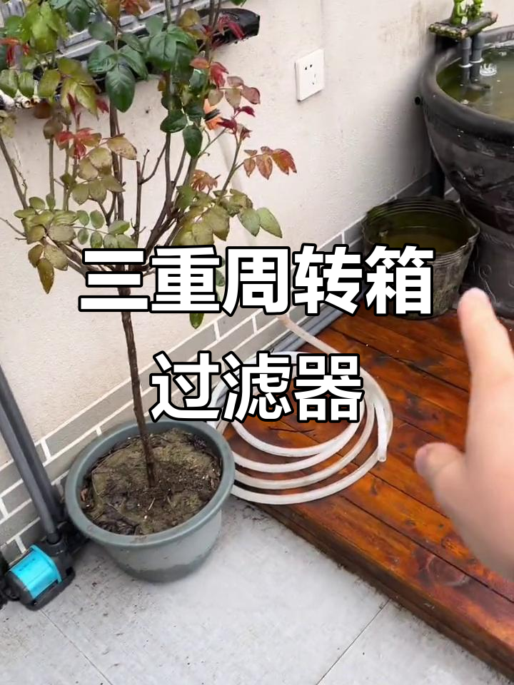户外鱼缸三重周转箱过滤系统，水泵遥控操作更方便