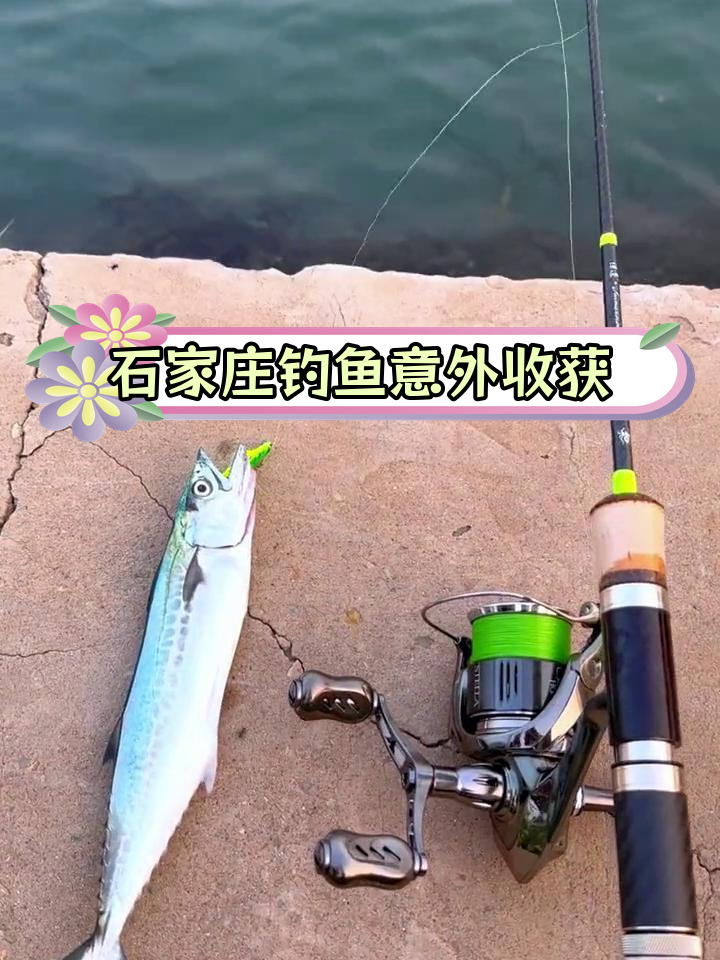 石家庄滹沱河钓获10斤大鱼,疑似鳅鱼种类