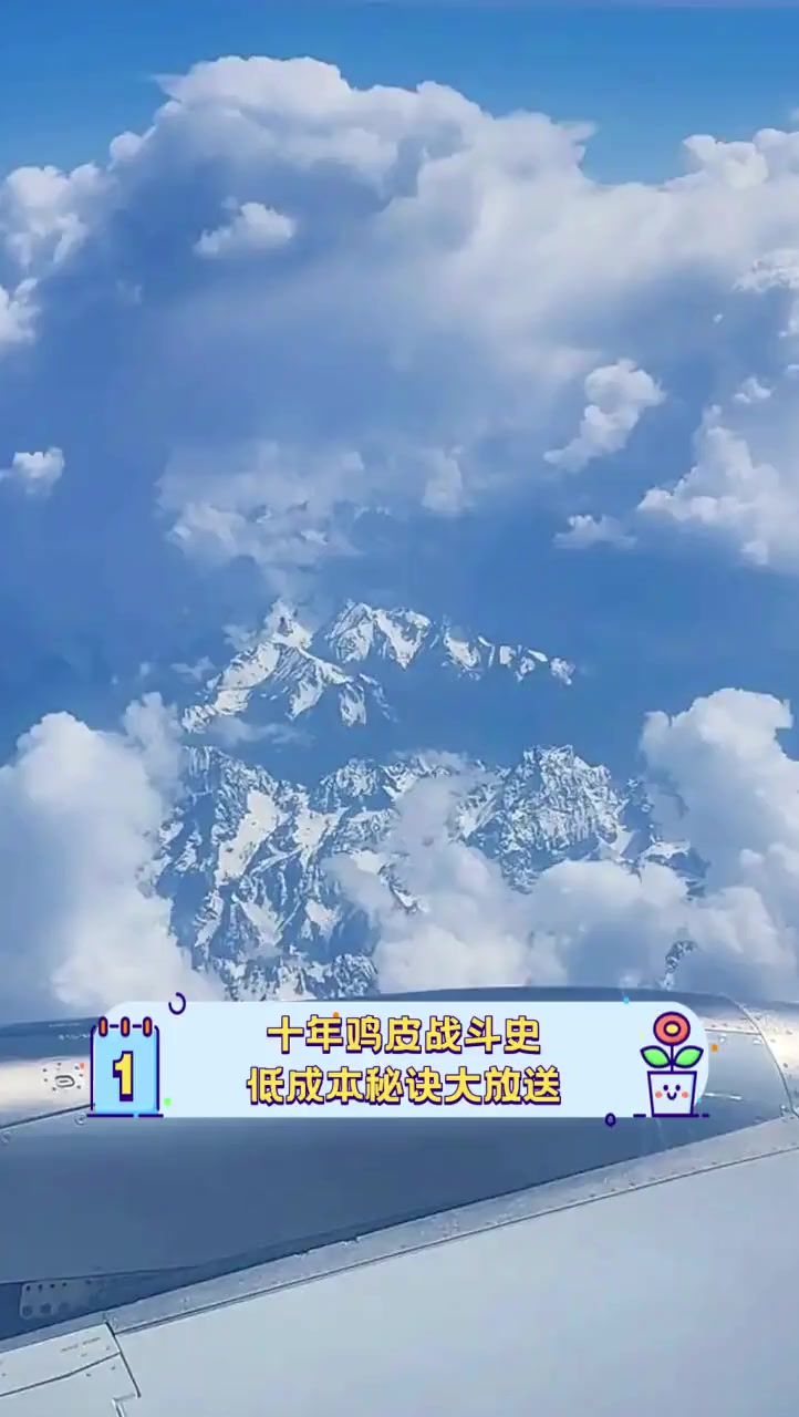 十年鸡皮战斗史,低成本秘诀大放送