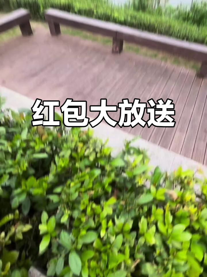 东莞鳒鱼洲红包来袭,谁将成为幸运的小可爱?