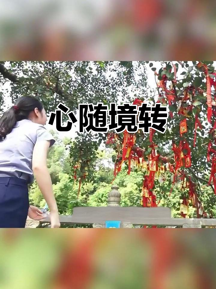 晨钟唤醒禅意,放下过往,心随境转,从容面对一切得失