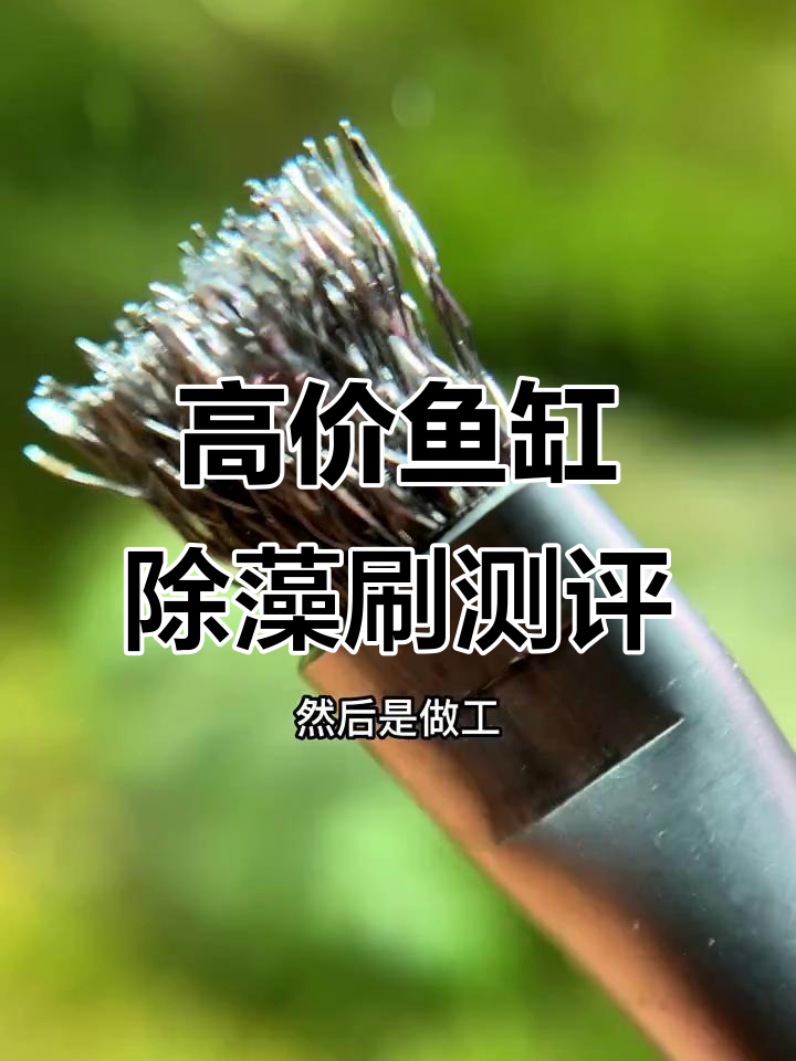 鱼缸除藻小刷子,精细做工但价格不便宜