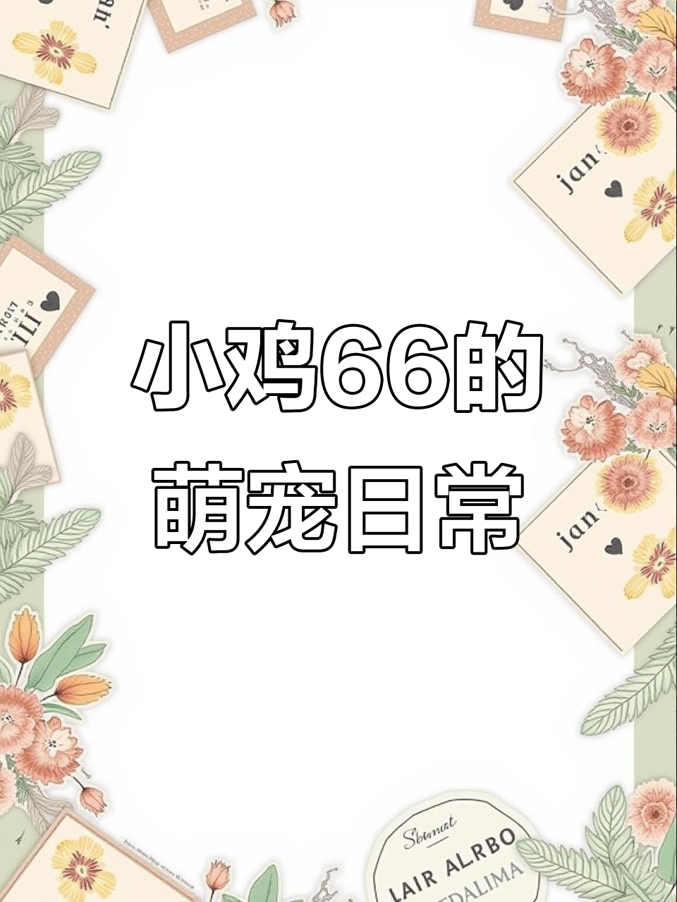 小鸡66到家,萌宠可爱瞬间大公开