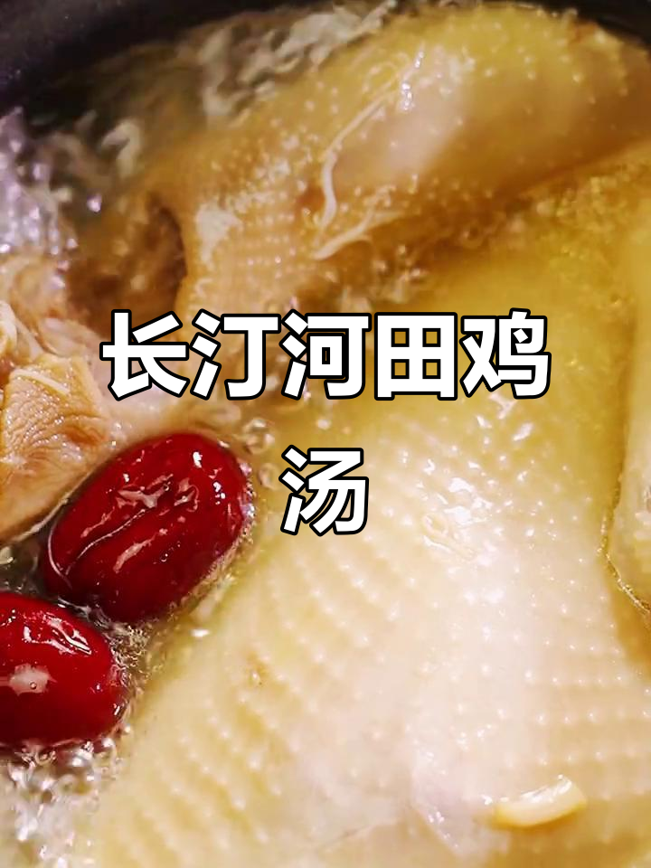 传承古法养殖,福建长汀河田鸡的砂锅美味之旅
