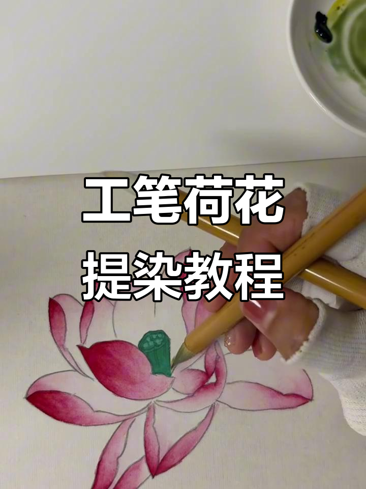 荷花工笔画技巧:从提染到立体感打造