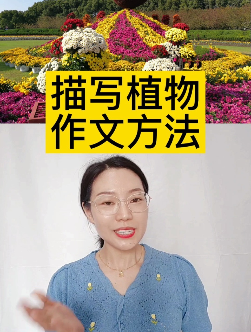 描写植物的作文方法,以菊花为例