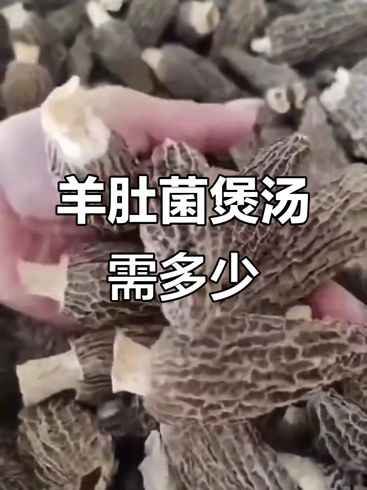 羊肚菌煲汤放几颗?人数决定用量,别过量!