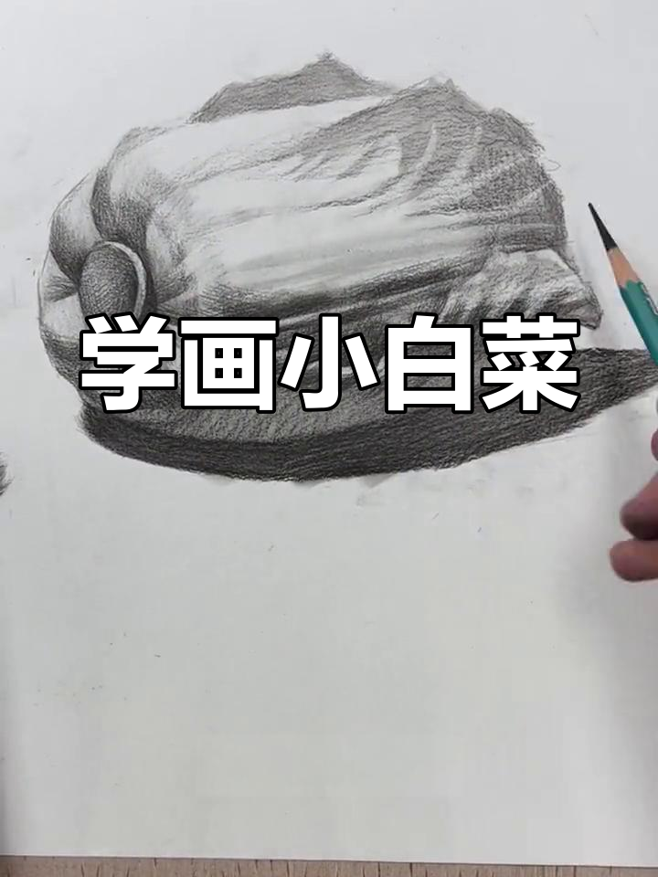 素描白菜绘制技巧，轻松掌握黑白灰关系
