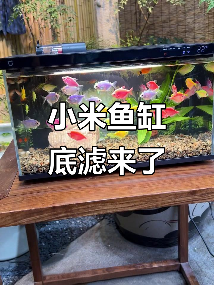 小米鱼缸底滤系统升级,轻松打造完美循环