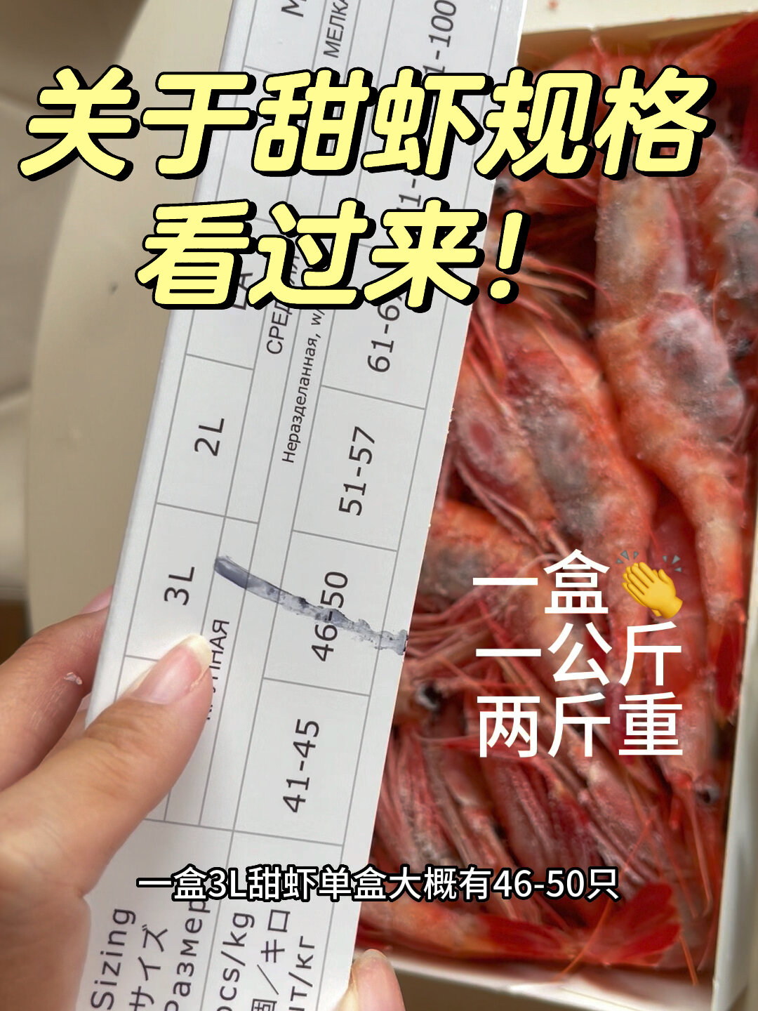 甜虾规格一览表|买甜虾得看大小啊